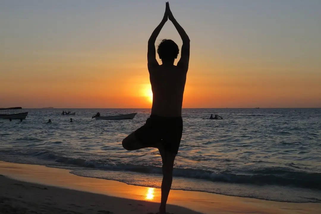 shiatsu nevers celia vautier shiatsu nevers celia vautier